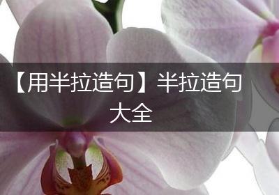 【用半拉造句】半拉造句大全
