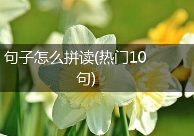 句子怎么拼读(热门10句)