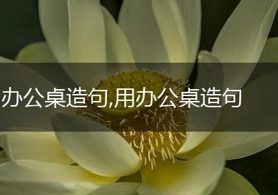 办公桌造句,用办公桌造句