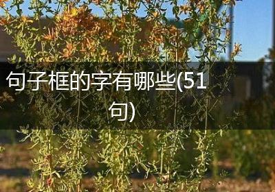 句子框的字有哪些(51句)