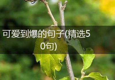可爱到爆的句子(精选50句)