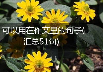 可以用在作文里的句子(汇总51句)