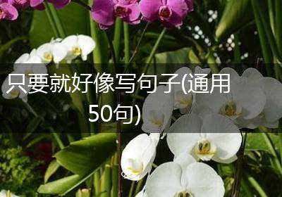只要就好像写句子(通用50句)