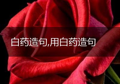 白药造句,用白药造句