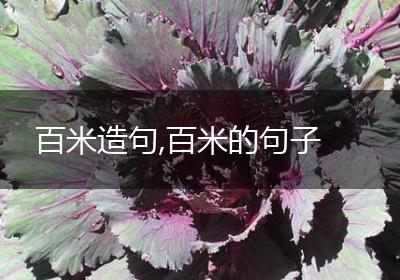 百米造句,百米的句子