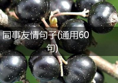 同事友情句子(通用60句)