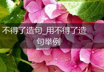 不得了造句_用不得了造句举例
