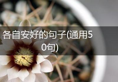 各自安好的句子(通用50句)