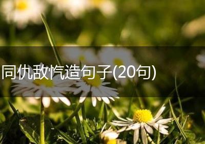 同仇敌忾造句子(20句)