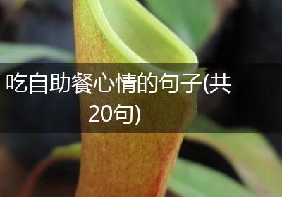 吃自助餐心情的句子(共20句)