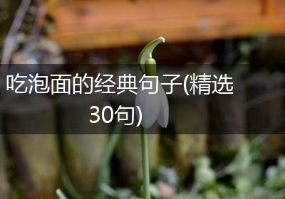 吃泡面的经典句子(精选30句)