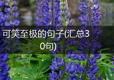 可笑至极的句子(汇总30句)