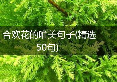 合欢花的唯美句子(精选50句)