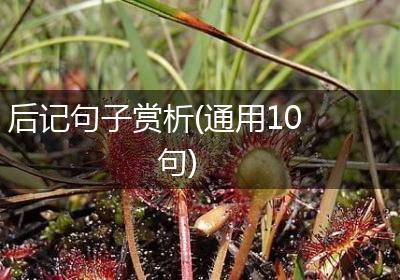 后记句子赏析(通用10句)