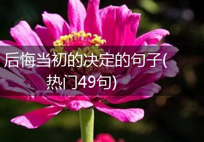 后悔当初的决定的句子(热门49句)
