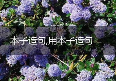 本子造句,用本子造句