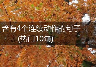 含有4个连续动作的句子(热门10句)
