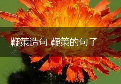 鞭策造句 鞭策的句子