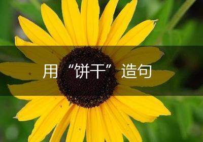 用“饼干”造句