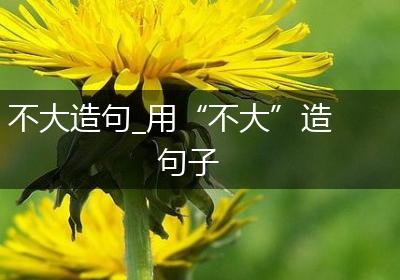 不大造句_用“不大”造句子