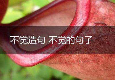 不觉造句 不觉的句子