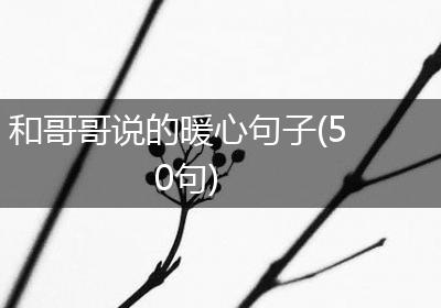 和哥哥说的暖心句子(50句)