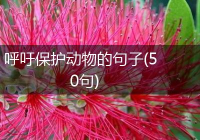 呼吁保护动物的句子(50句)