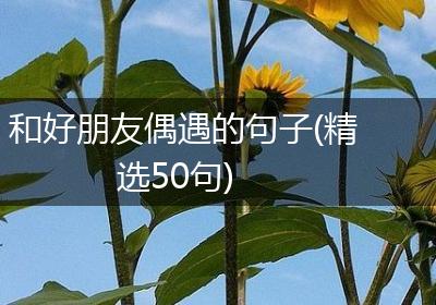 和好朋友偶遇的句子(精选50句)