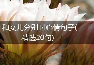 和女儿分别时心情句子(精选20句)