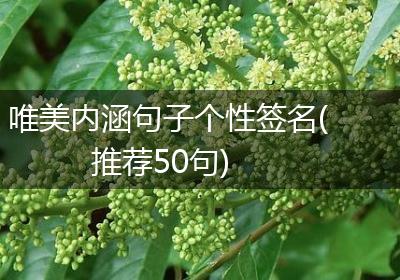唯美内涵句子个性签名(推荐50句)
