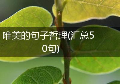 唯美的句子哲理(汇总50句)