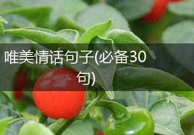唯美情话句子(必备30句)