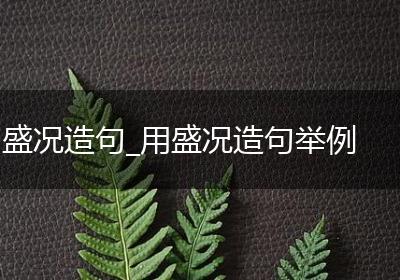 盛况造句_用盛况造句举例