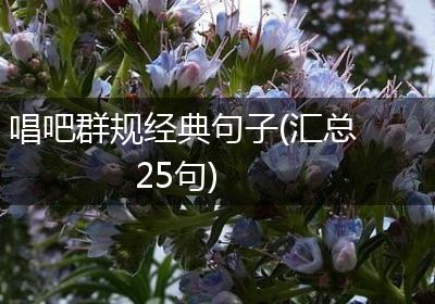 唱吧群规经典句子(汇总25句)
