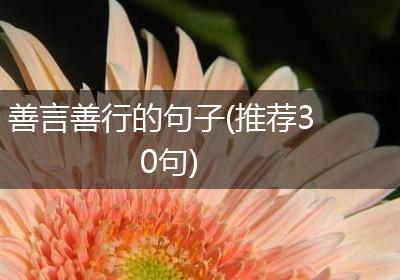 善言善行的句子(推荐30句)