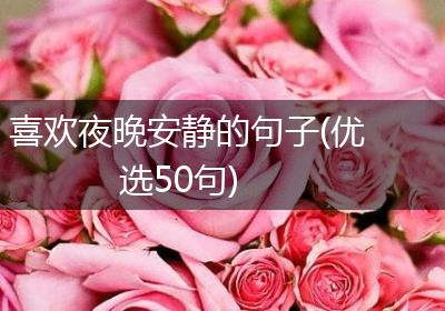 喜欢夜晚安静的句子(优选50句)