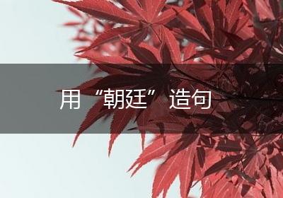 用“朝廷”造句