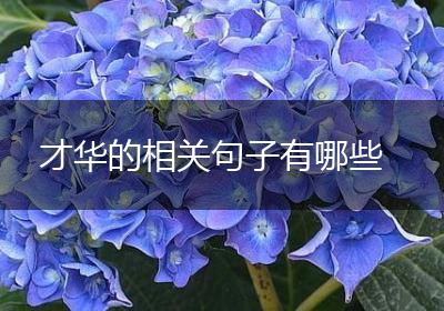 才华的相关句子有哪些