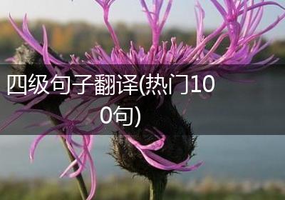 四级句子翻译(热门100句)