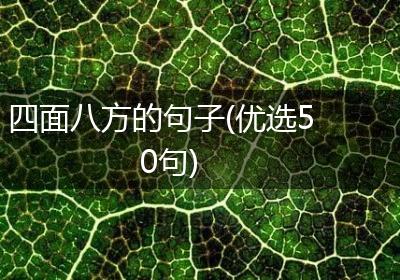 四面八方的句子(优选50句)