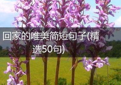 回家的唯美简短句子(精选50句)