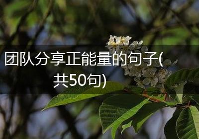 团队分享正能量的句子(共50句)