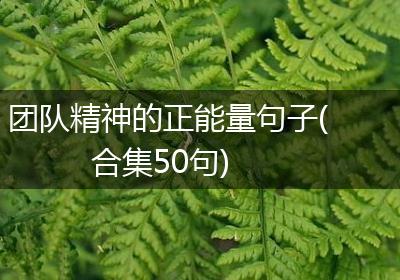 团队精神的正能量句子(合集50句)
