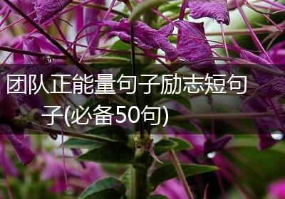 团队正能量句子励志短句子(必备50句)