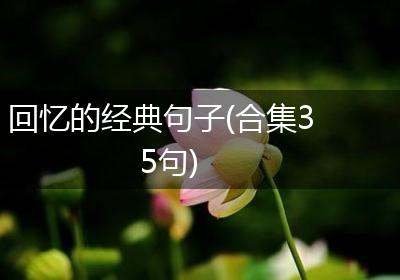 回忆的经典句子(合集35句)
