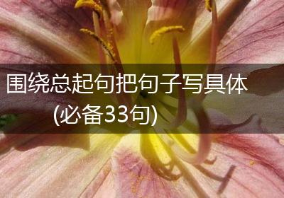 围绕总起句把句子写具体(必备33句)