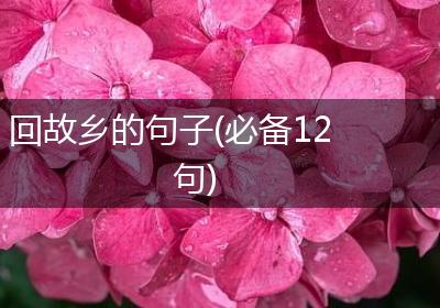 回故乡的句子(必备12句)