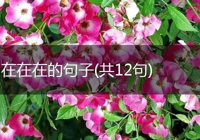 在在在的句子(共12句)