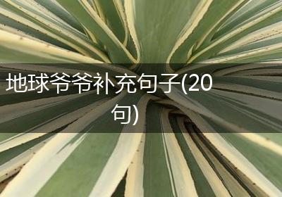 地球爷爷补充句子(20句)