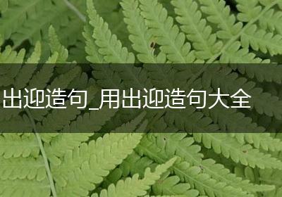 出迎造句_用出迎造句大全